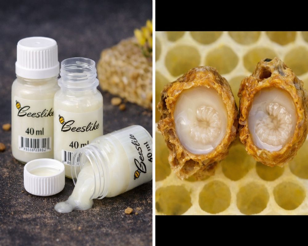 Arı Sütü - 40 gr.