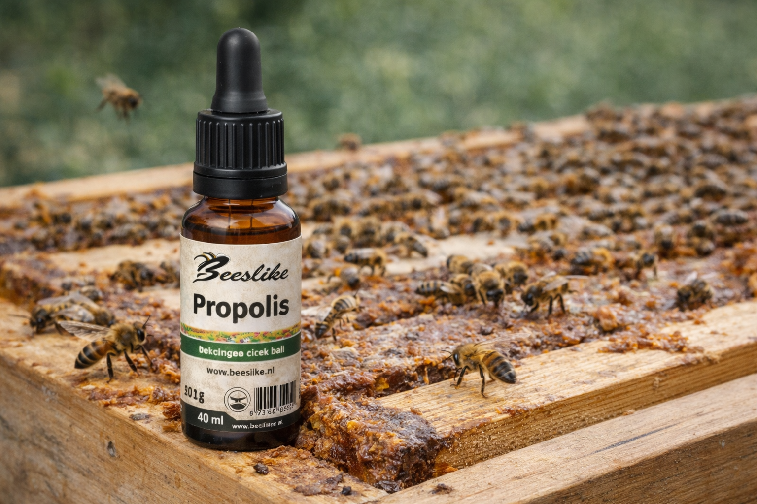 Propolis (40 ml.)