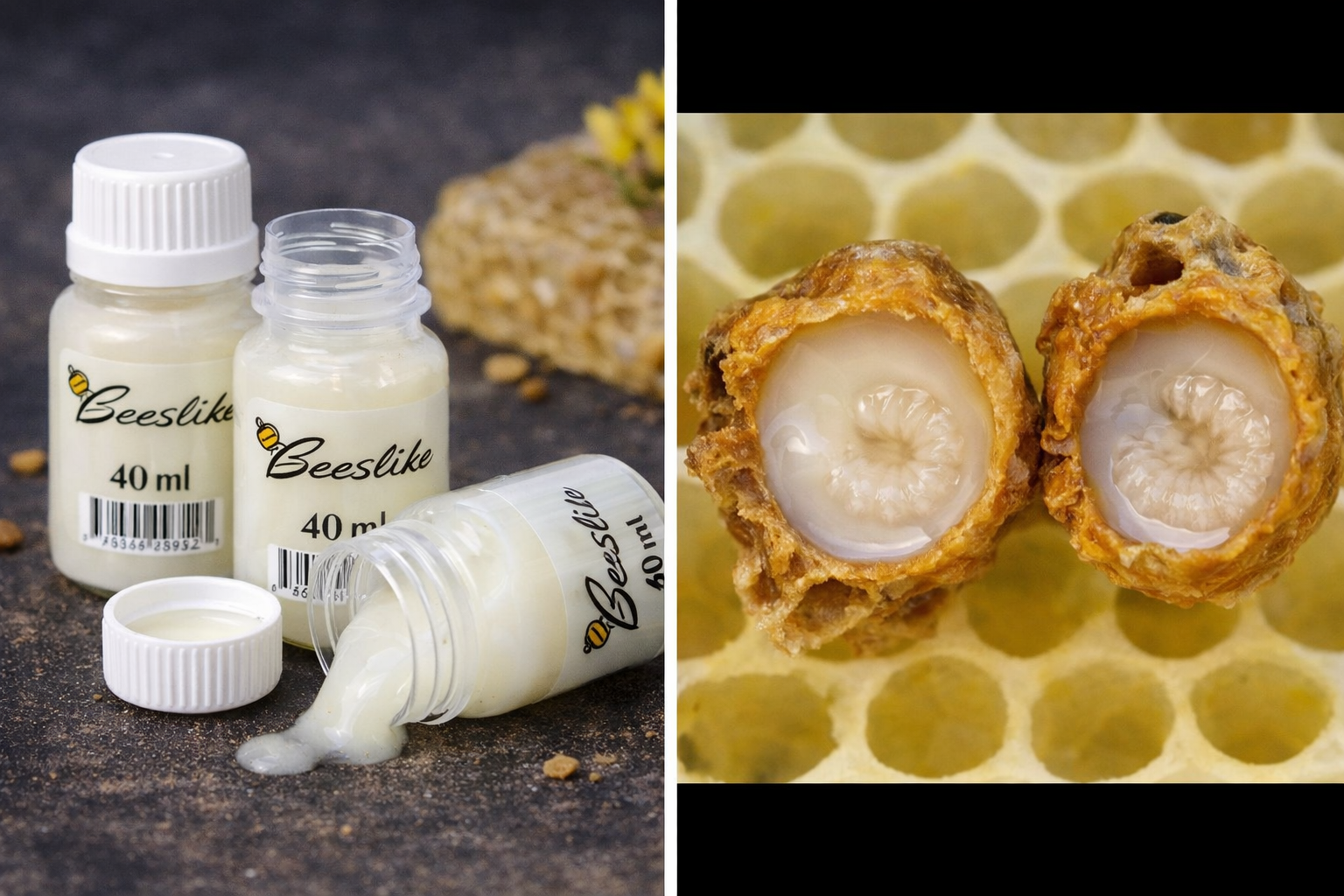 Koninklijke Gelei - 40 gr.