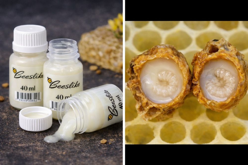 Koninklijke Gelei - 20 gr.2